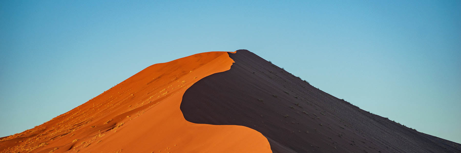 Product banner