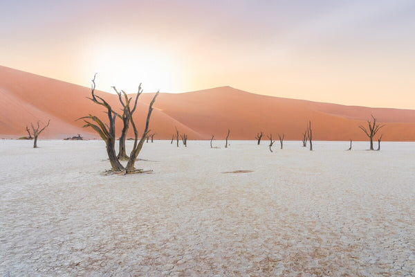 11-Day Namibia Highlights Private Guided Safari