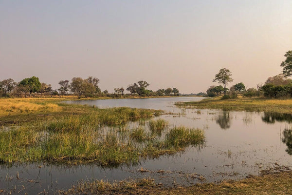 12-Day Namibia, Chobe & Victoria Falls Superior Fly-in Safari