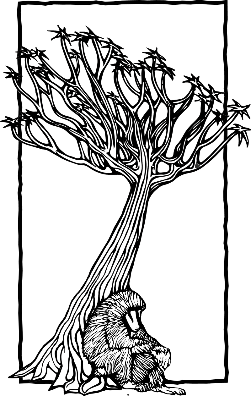 Baboon Tree Graphic