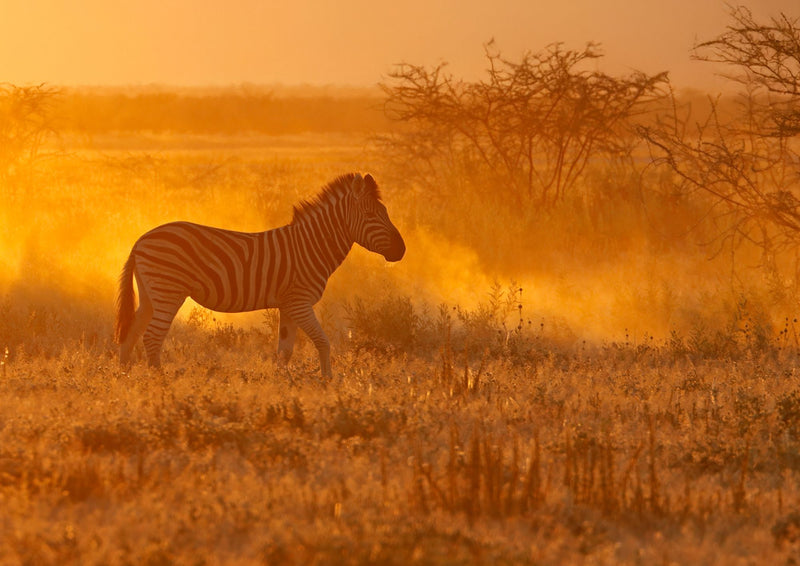 Best of Namibia Safari with Southern Extension - Self-drive