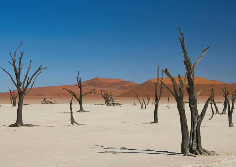 Best of Namibia Safari with Southern Extension - Self-drive