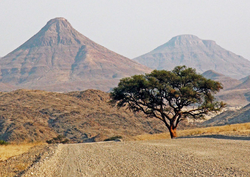 Classic Namibia Self-drive Safari