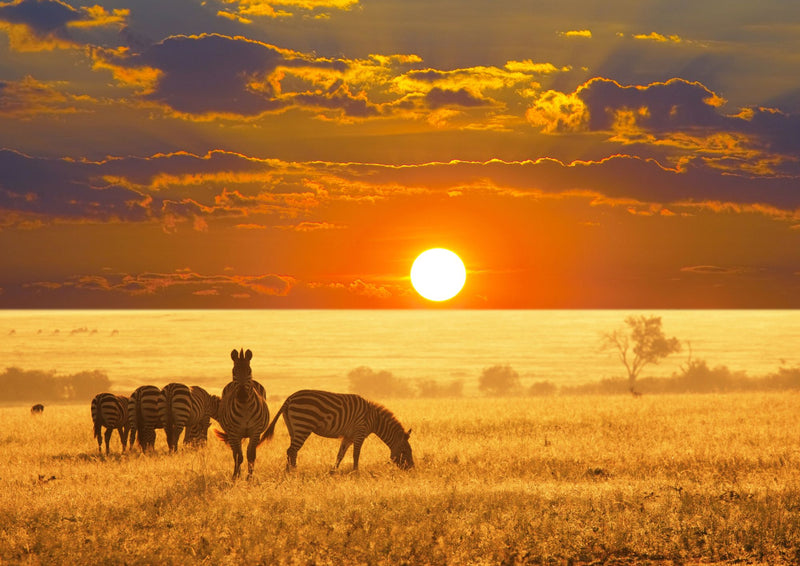 Classic Namibia Self-drive Safari