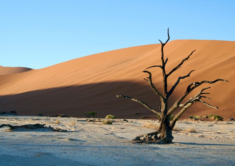 Namibia Highlights Self-Drive Safari