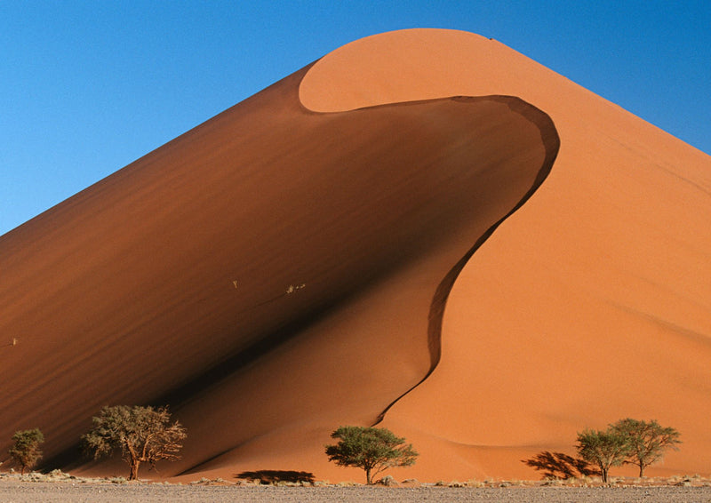 Classic Namibia Self-drive Safari