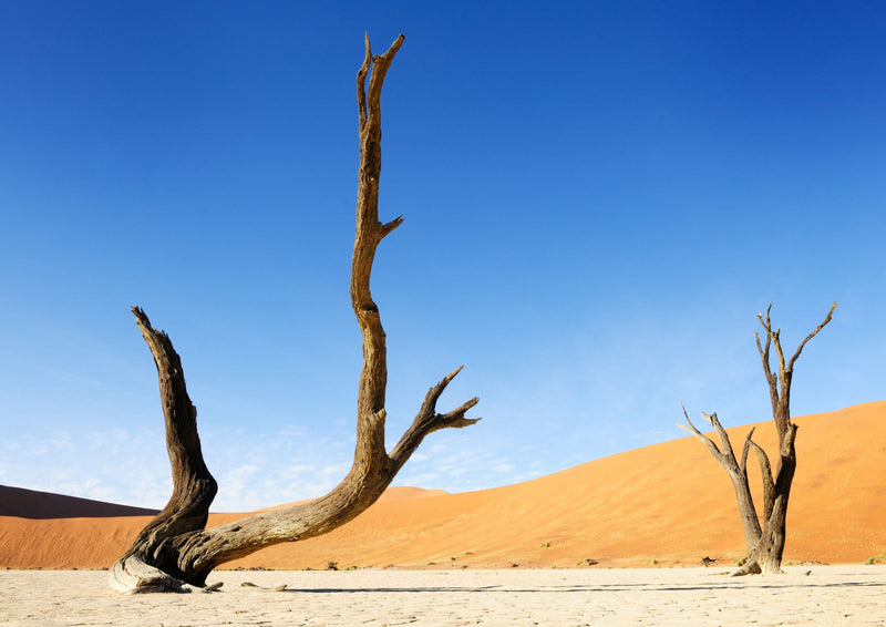 Ultimate Namibia Self-drive Safari