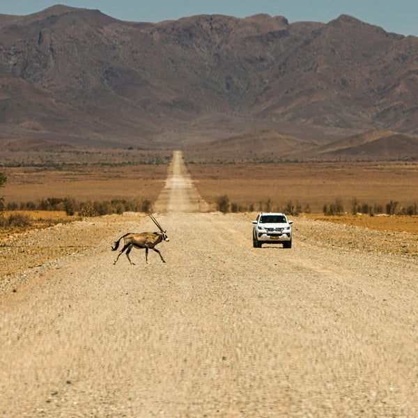 Ultimate Self-Drive - Itinerary, Car & Lodging