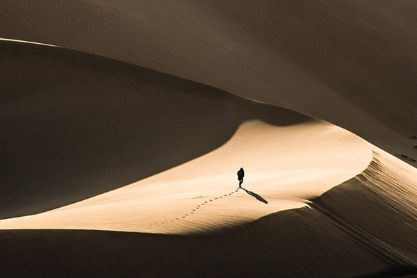 16-Day Classic Namibia Private Guided Safari