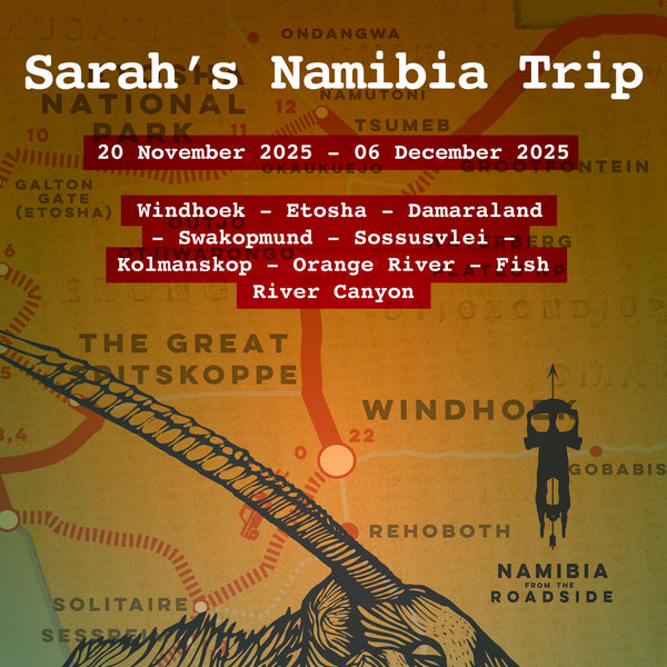 Bespoke Itinerary: Unlock the secrets of Namibia with a Comprehensive Travel Companion