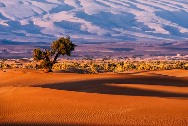16-Day Best Of Namibia With Southern Extension