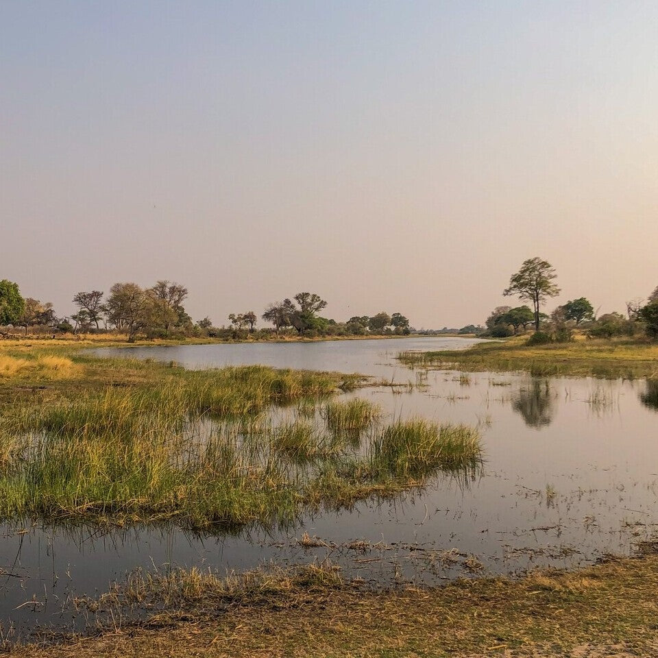 Caprivi-strip