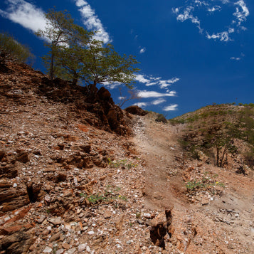 Extreme Rocky Terrains