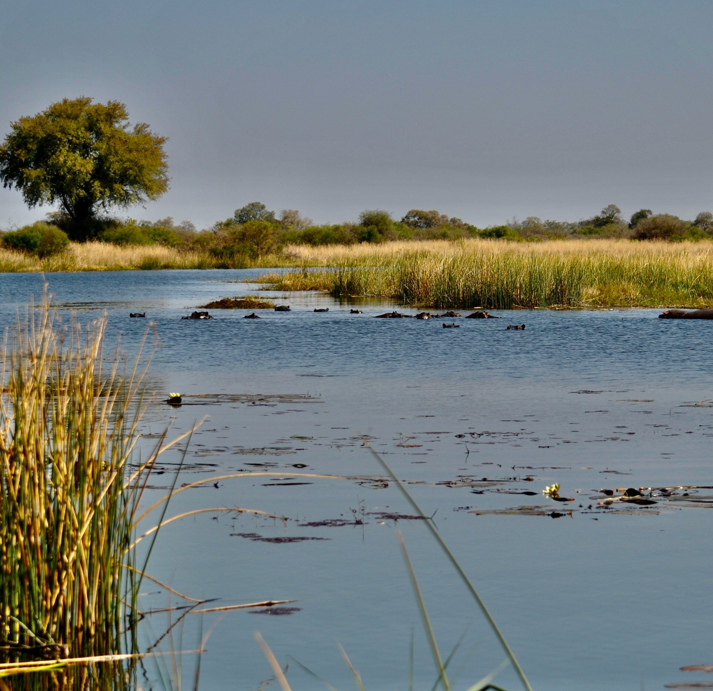 Kavango-wetlands