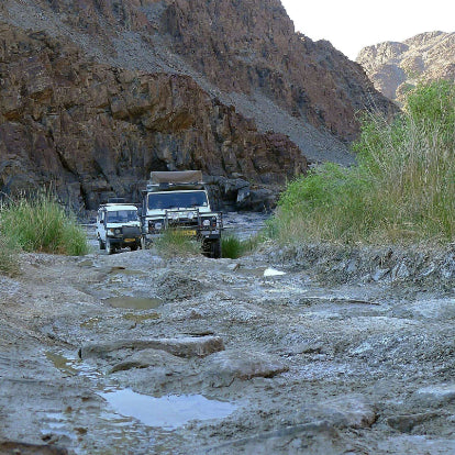 Mud Tracks