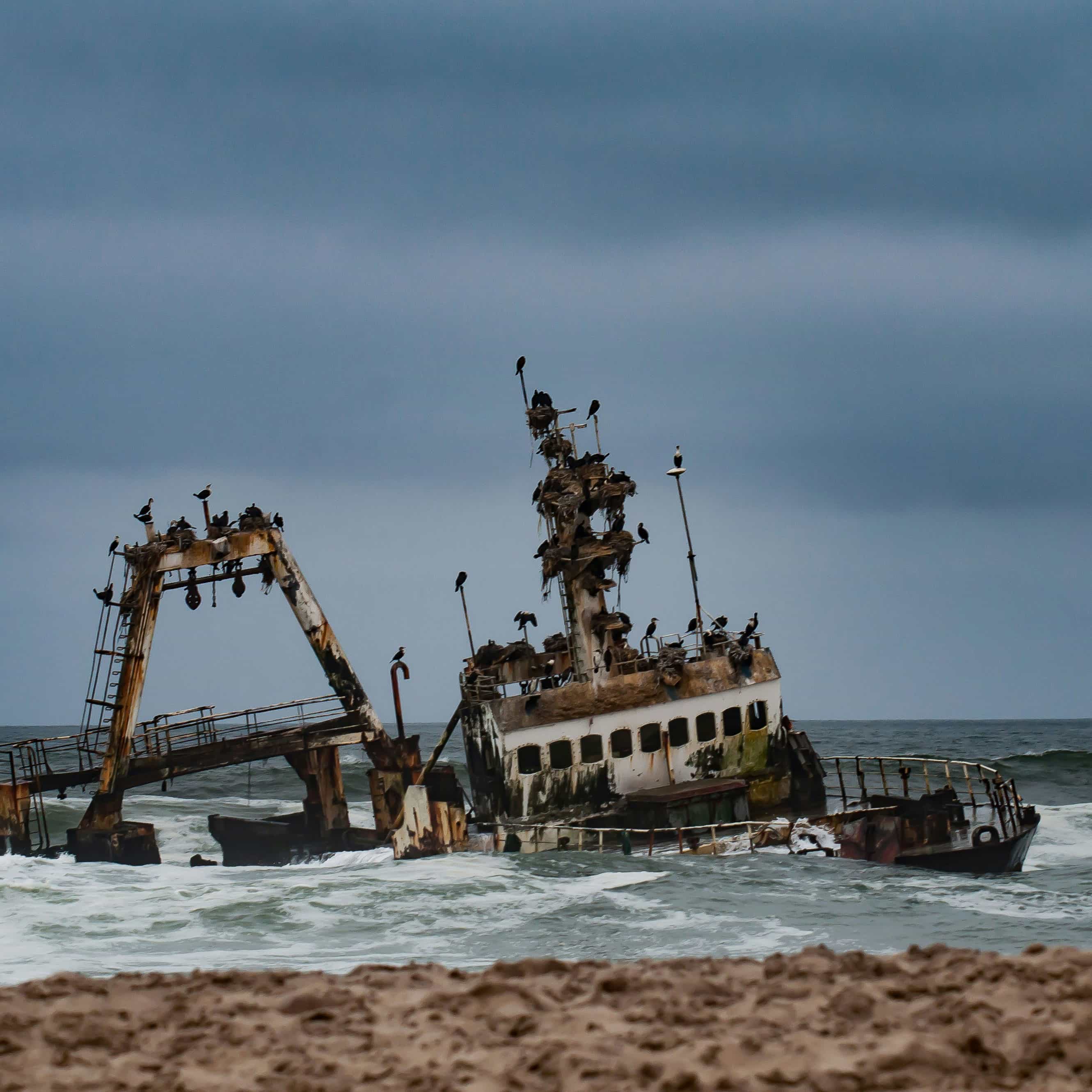 Skeleton Coast