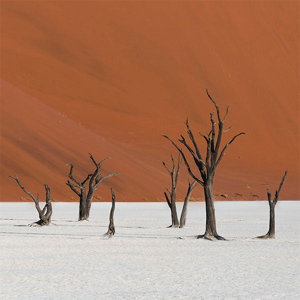 Sossusvlei