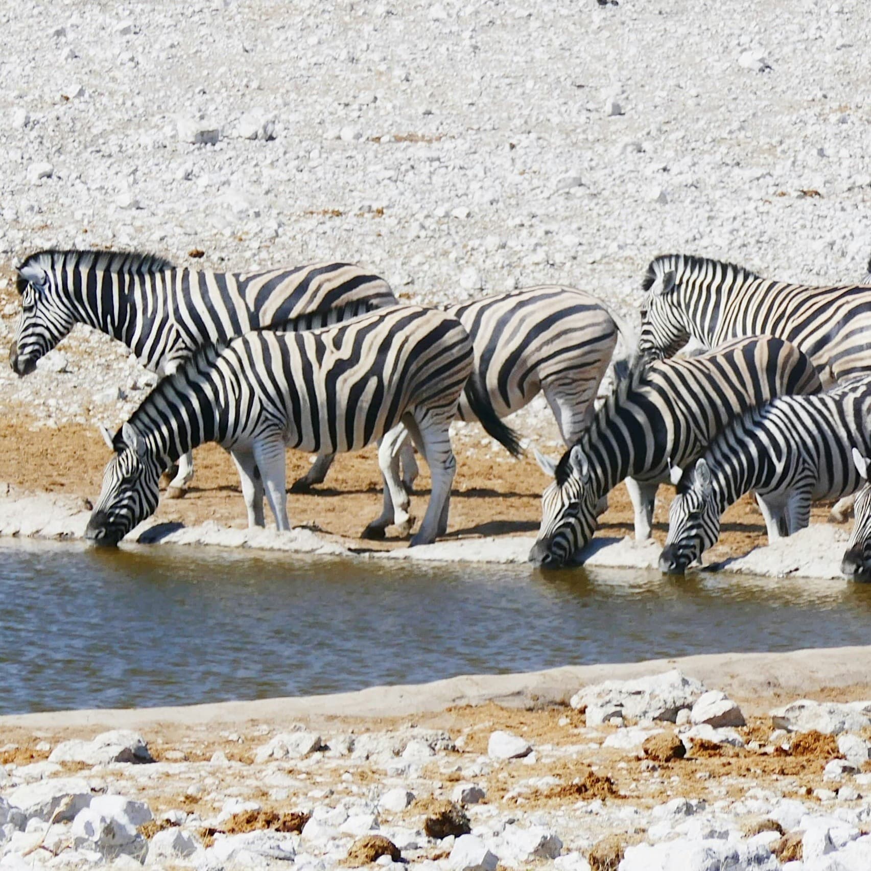 Western Etosha